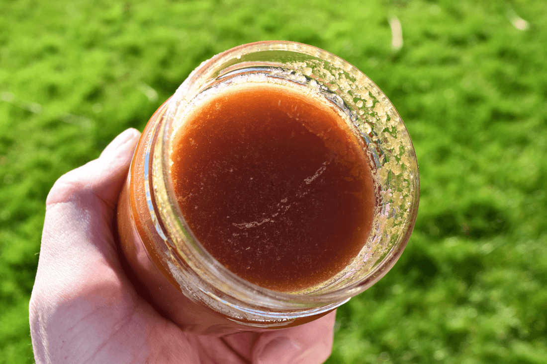Raw Buckwheat Honey – A Rich, Earthy Deligh