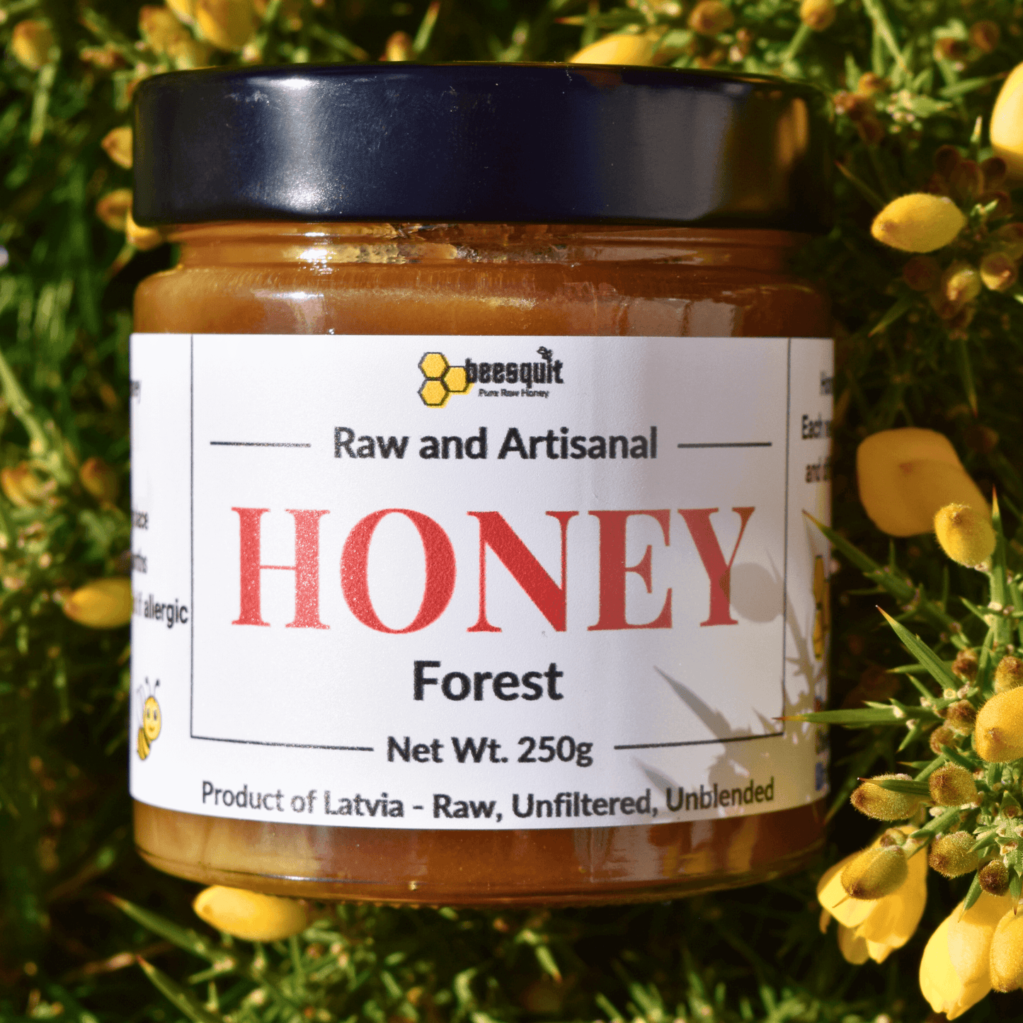100% Raw Forest Honey 250g