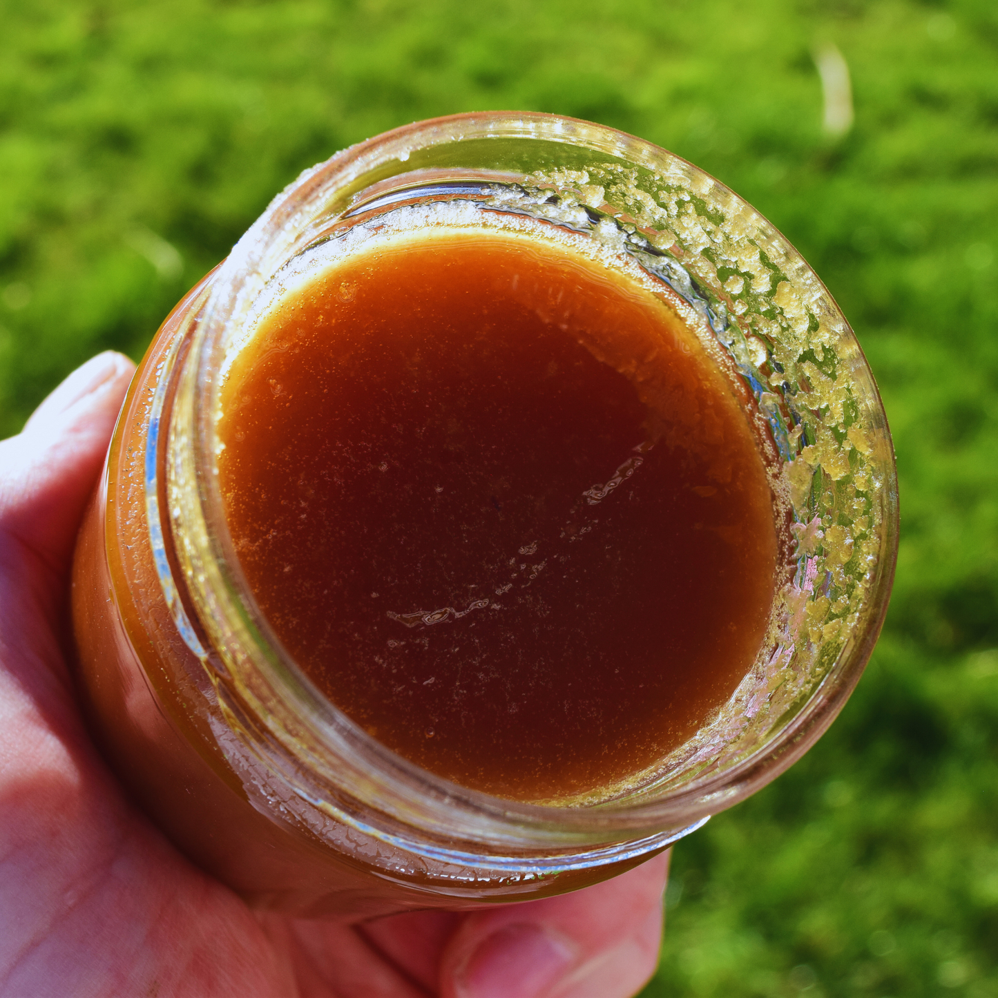 Raw Buckwheat Honey – Dark & Bold - 250g