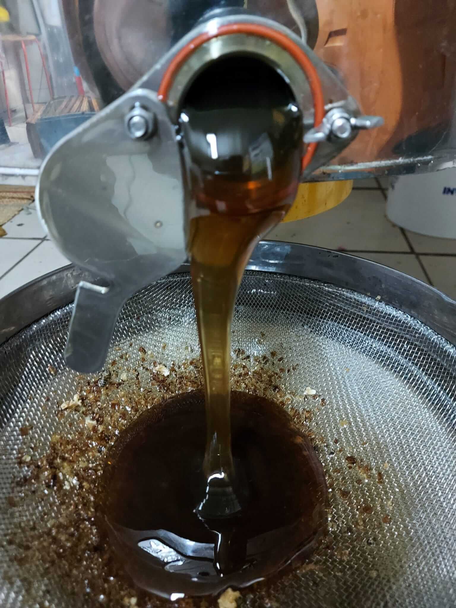 Raw Buckwheat Honey – Dark & Bold, Pure & Unfiltered Honey from Latvia
